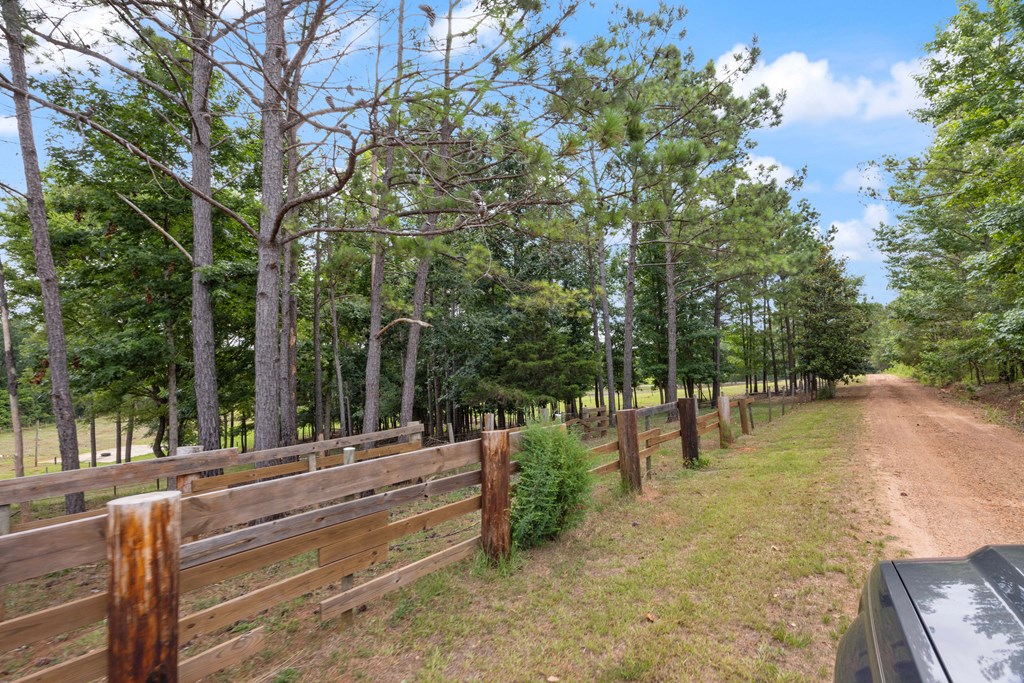 3951 Valley Road Lumpkin, GA 31815 - Photo 31 of 31 Gallery Image 31