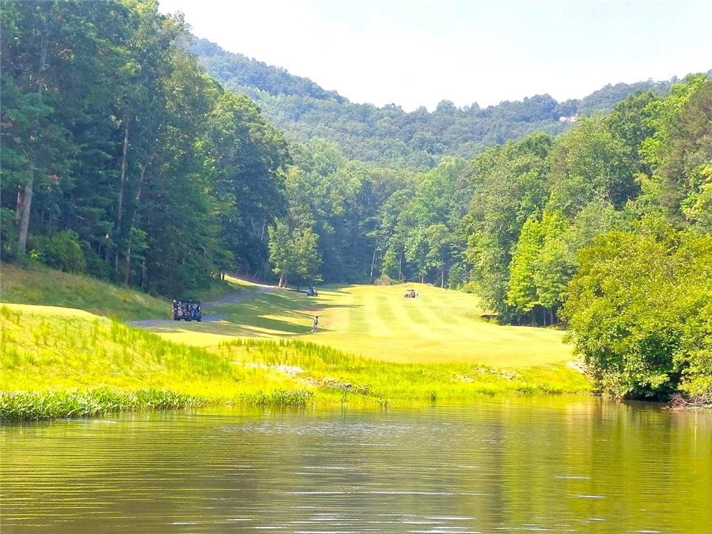 26 Chestnut Oak Point Jasper, GA 30143 - Photo 16 of 32 a view of a swimming pool with an ocean view