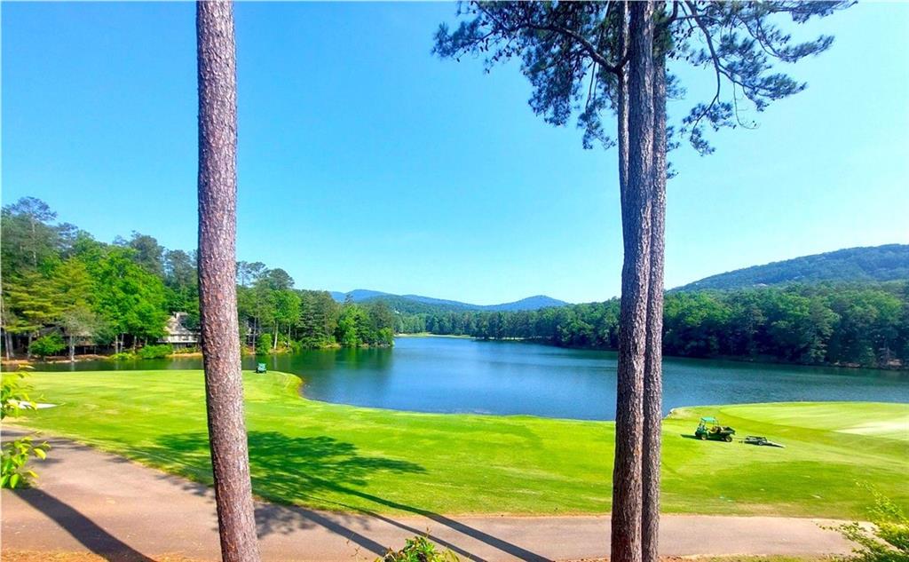 26 Chestnut Oak Point Jasper, GA 30143 - Photo 17 of 32 a view of a lake with a big yard