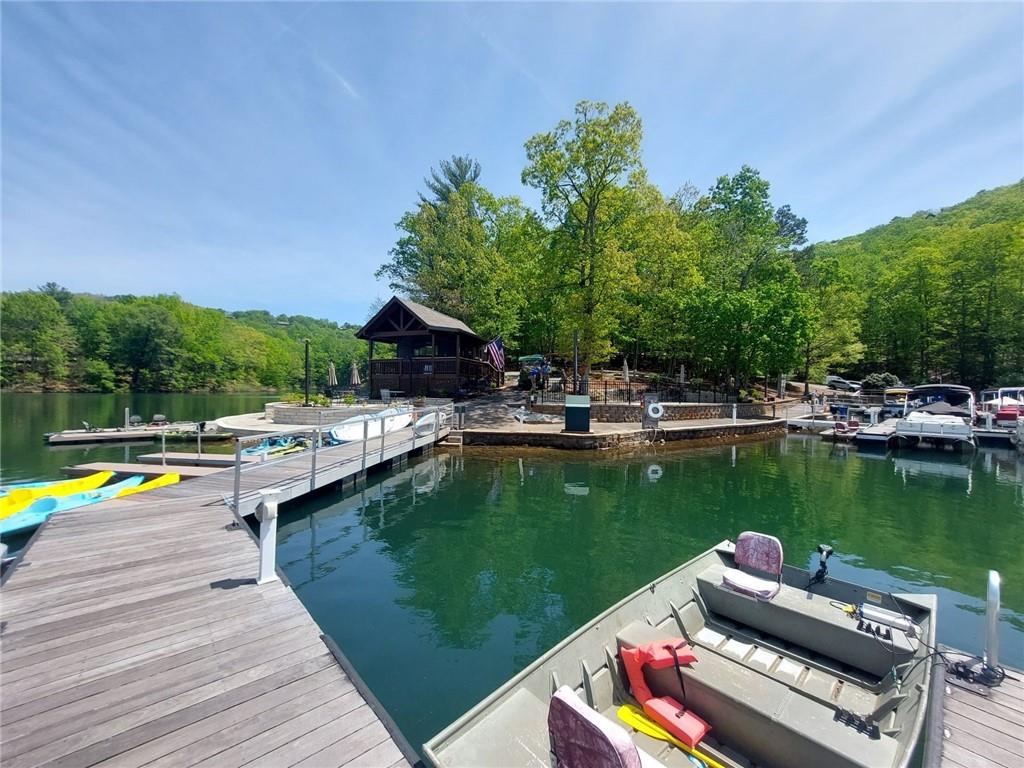 26 Chestnut Oak Point Jasper, GA 30143 - Photo 29 of 32 a view of a swimming pool with a patio and a yard
