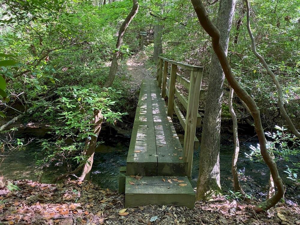 26 Chestnut Oak Point Jasper, GA 30143 - Photo 30 of 32 a view of a garden
