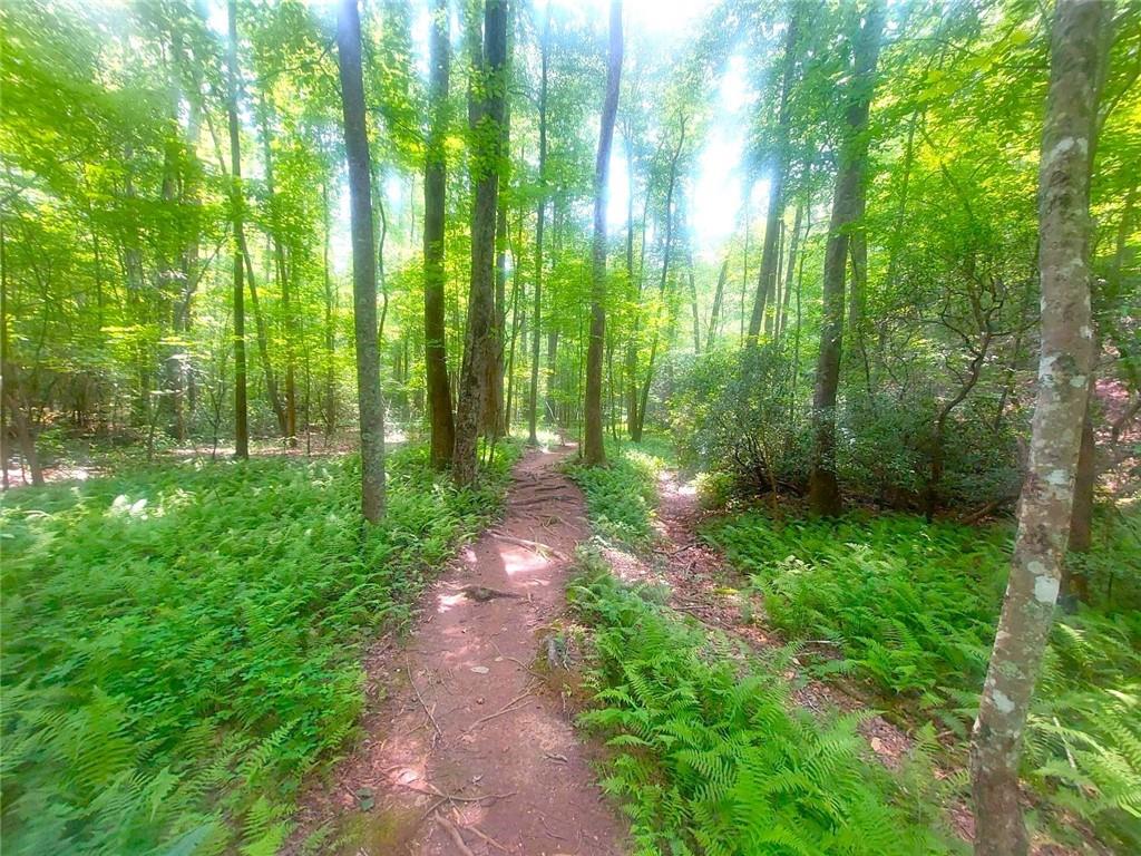 26 Chestnut Oak Point Jasper, GA 30143 - Photo 31 of 32 a view of backyard with garden