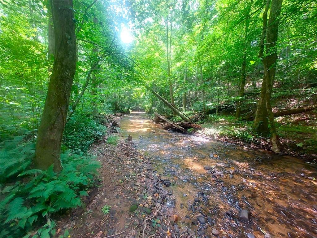 26 Chestnut Oak Point Jasper, GA 30143 - Photo 32 of 32 a view of a forest with trees in the background