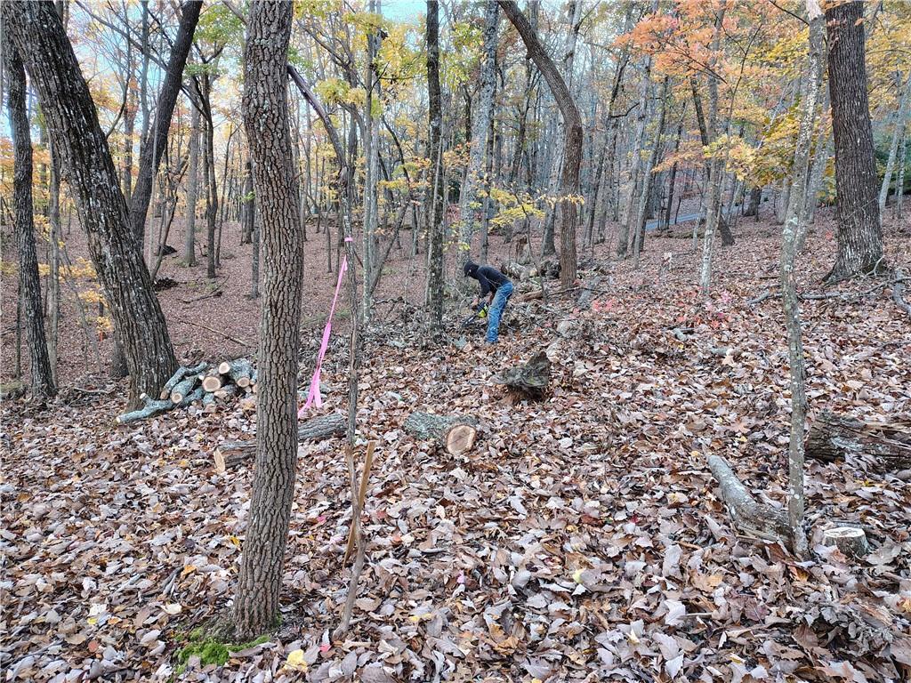 26 Chestnut Oak Point Jasper, GA 30143 - Photo 7 of 32 a view of a yard with large trees