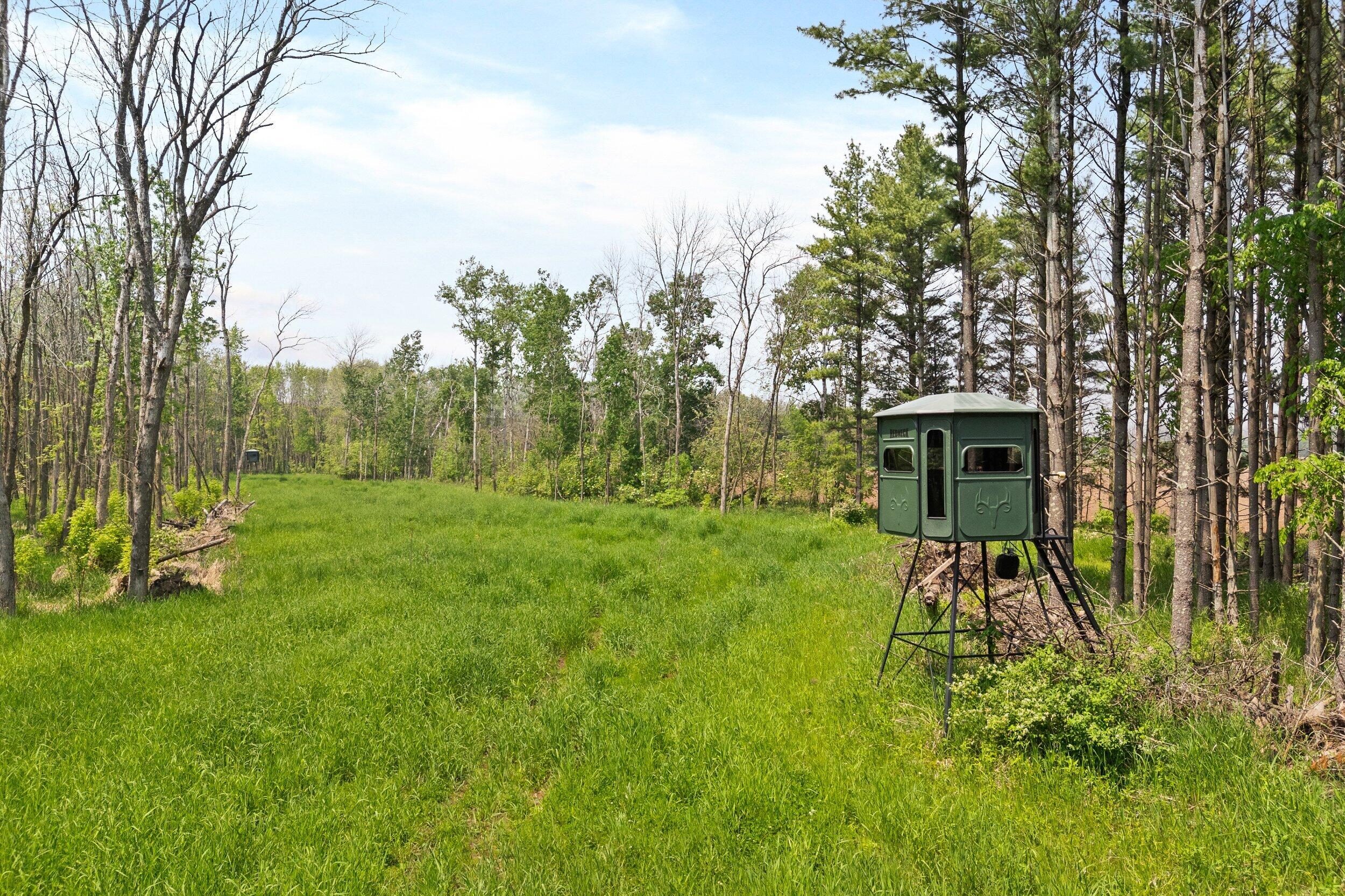 8405 County Highway Forestville, WI 54213 - Photo 1 of 1 Food Plot 13