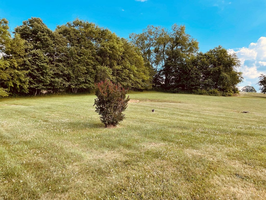2158 Cedar Springs Road Rural Retreat, VA 24368 - Photo 49 of 55 Gallery Image 49