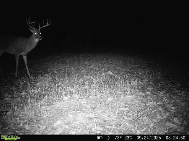 24.97-ac Stribling Springs Road Mount Solon, VA 22843 - Photo 33 of 34