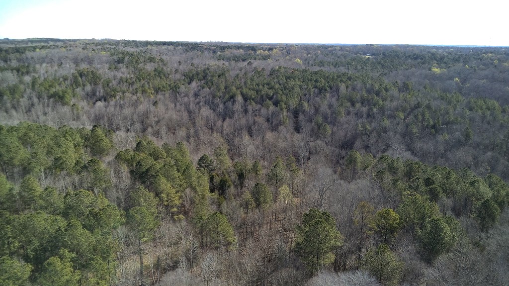 Lot 6 Boyds Mill Pond Road Laurens, SC 29360 - Photo 2 of 11