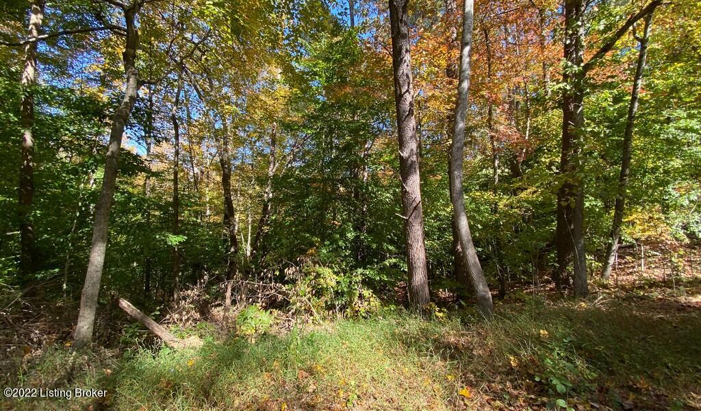 L38 Ted Logsdon Road Clarkson, KY 42726 - Photo 5 of 11 River View Fall173