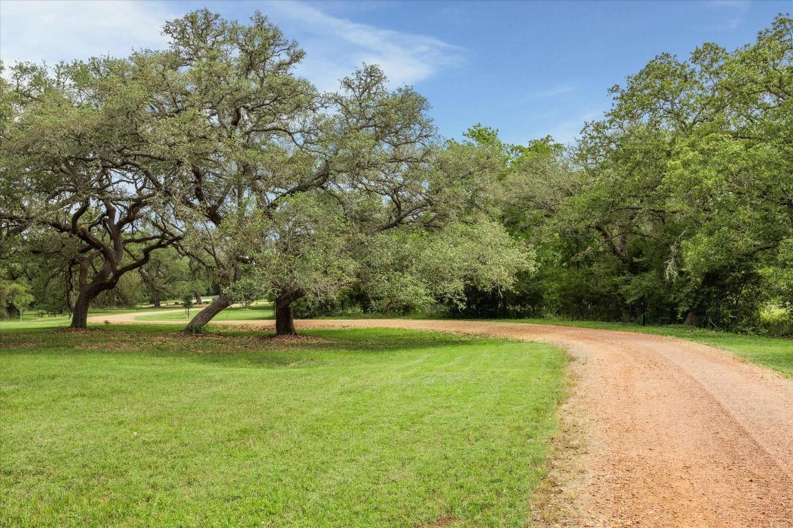 2130 Hartfield Road Round Top, TX 78954 - Photo 30 of 39 a view of a field with trees in front of it
