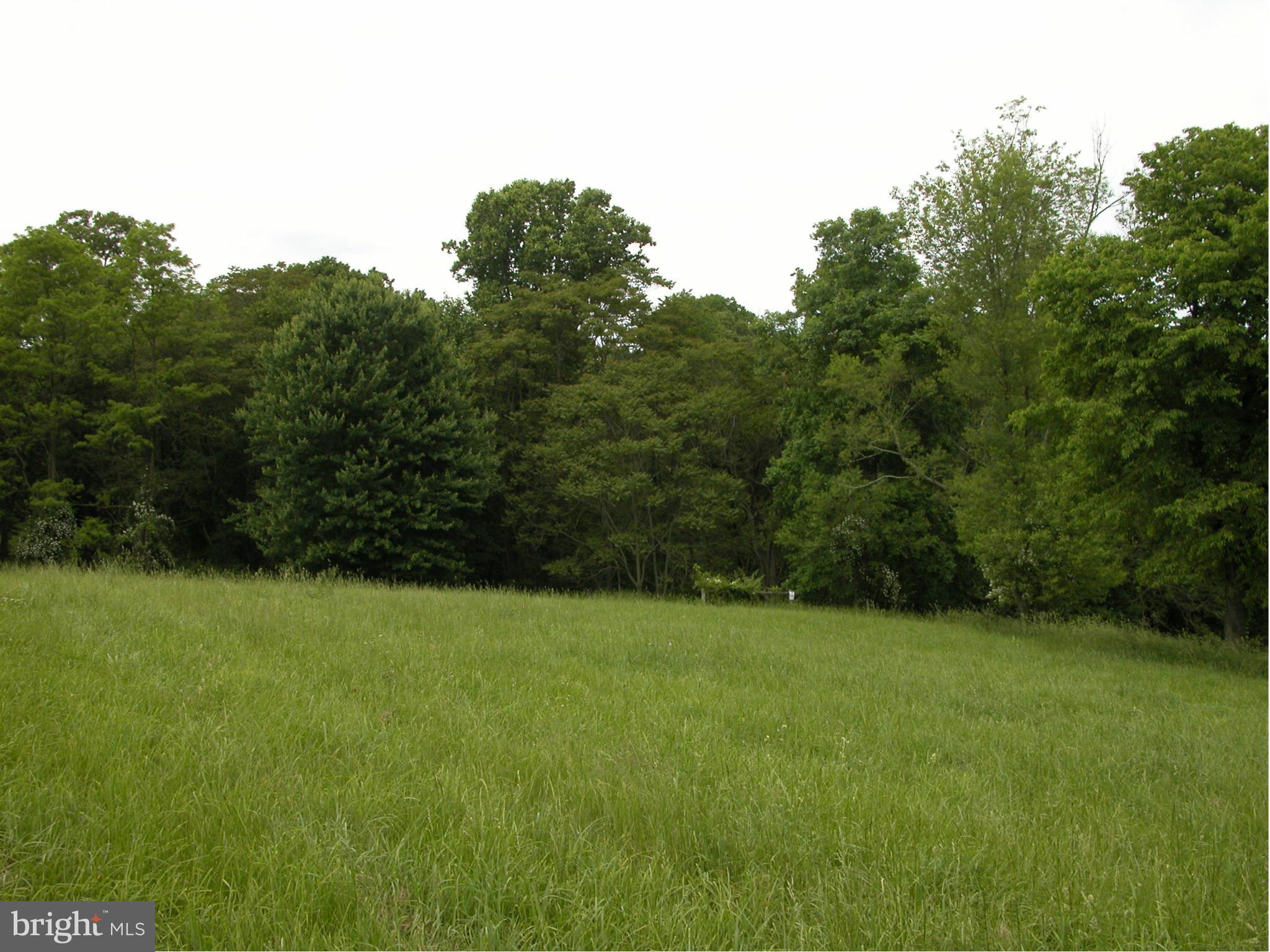 3252 Kemptown Church Road Monrovia, MD 21770 - Photo 14 of 19 Right tree line view