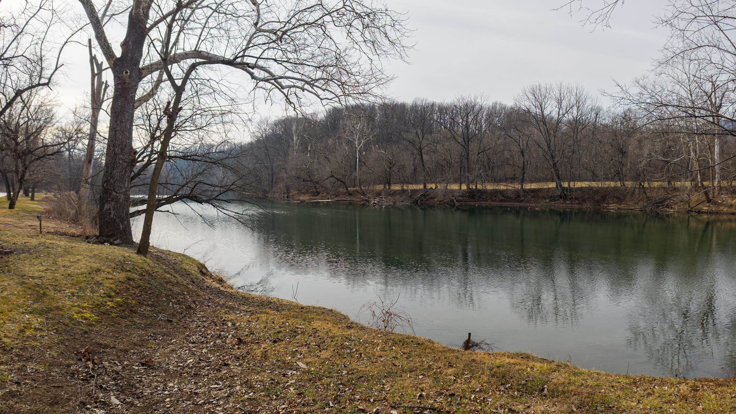 0 Shenandoah River Road Shenandoah, VA 22849 - Photo 36 of 64