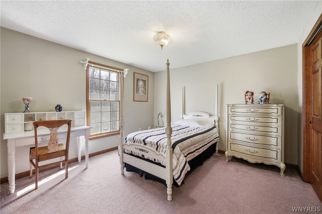 2665 Lakeview Road Hamburg, NY 14085 - Photo 32 of 50