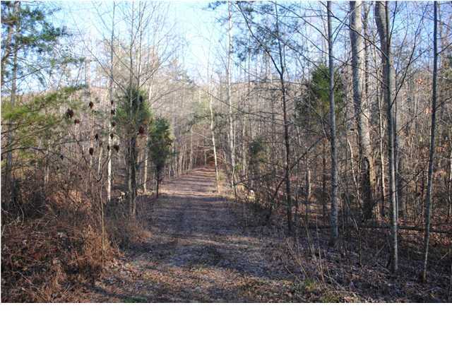 83 Old Ascalon Road Rising Fawn, GA 30738 - Photo 3 of 18 Additional Photo