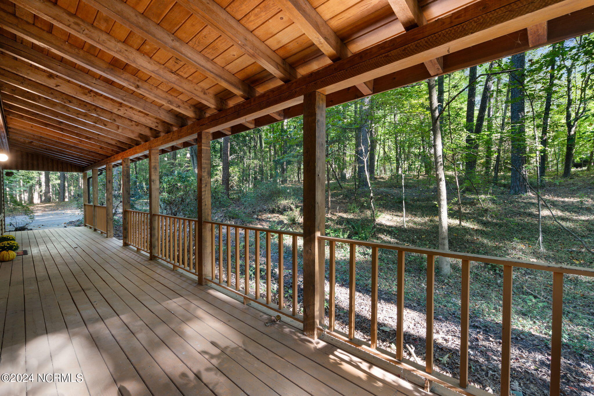 2004 Forest Drive Clayton, NC 27520 - Photo 31 of 38 18-web-or-mls-DSC07939