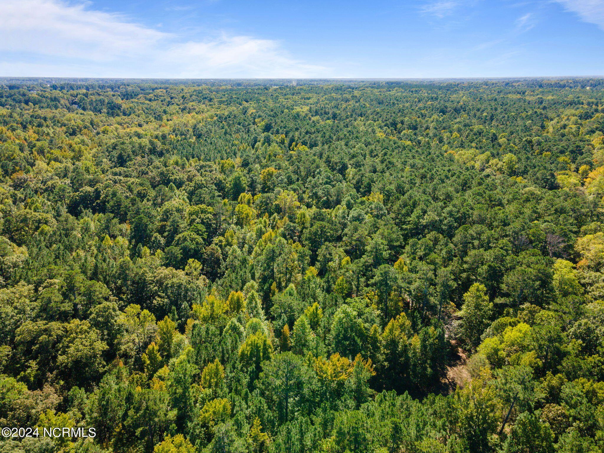 2004 Forest Drive Clayton, NC 27520 - Photo 37 of 38 2-web-or-mls-DJI_0003