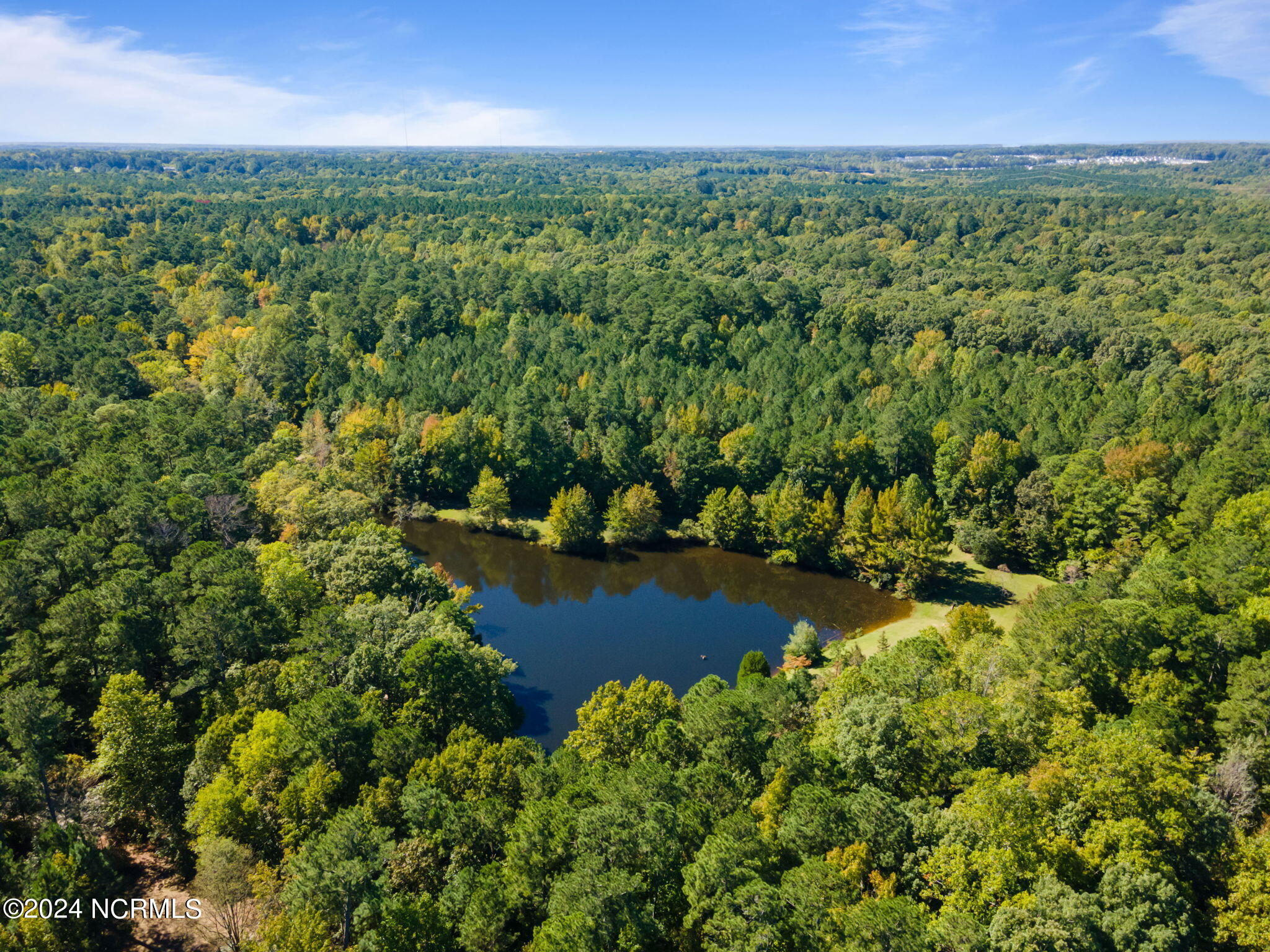 2004 Forest Drive Clayton, NC 27520 - Photo 38 of 38 1-web-or-mls-DJI_0001