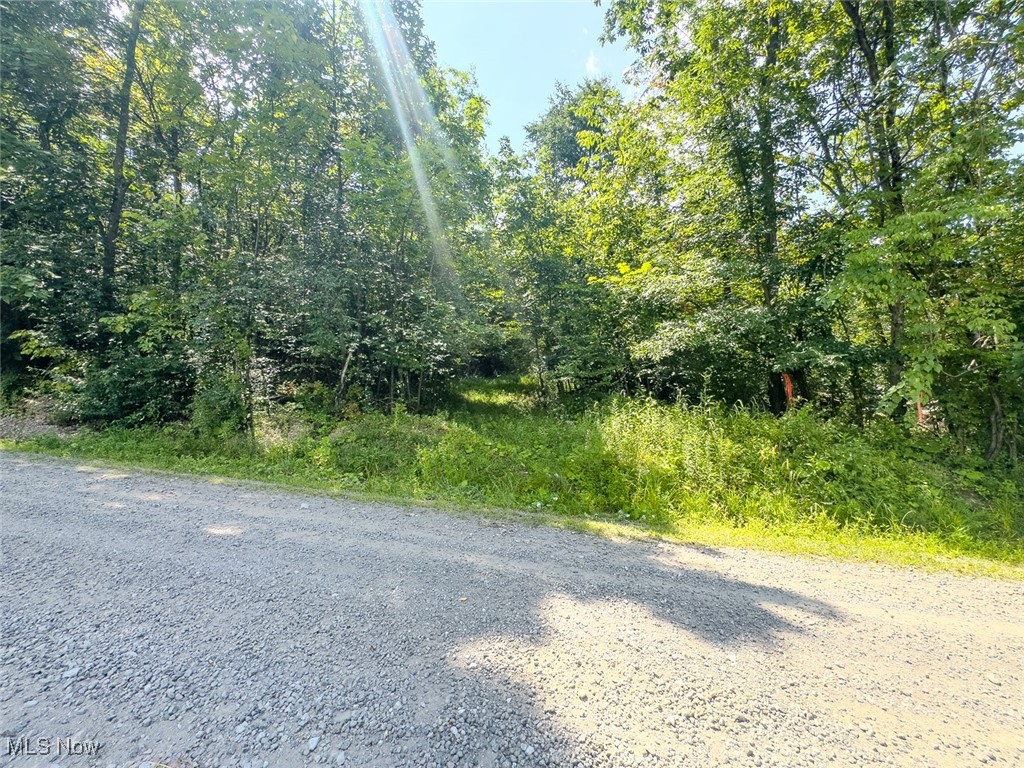 0 Mill St Road Quaker City, OH 43773 - Photo 2 of 23 View of dirt / gravel road
