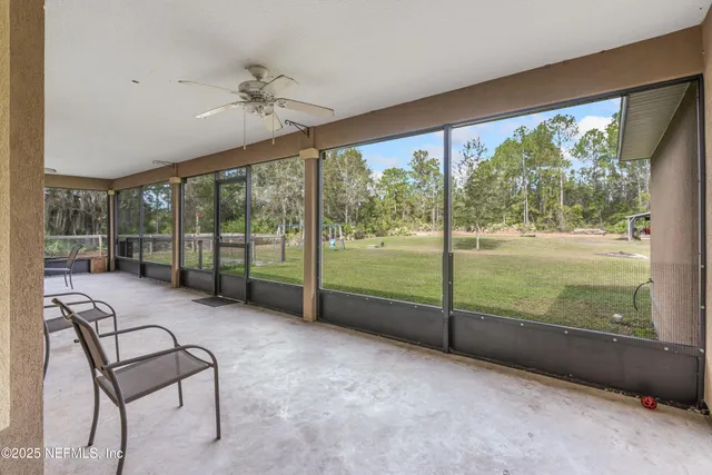 a view of a yard with plants and large trees