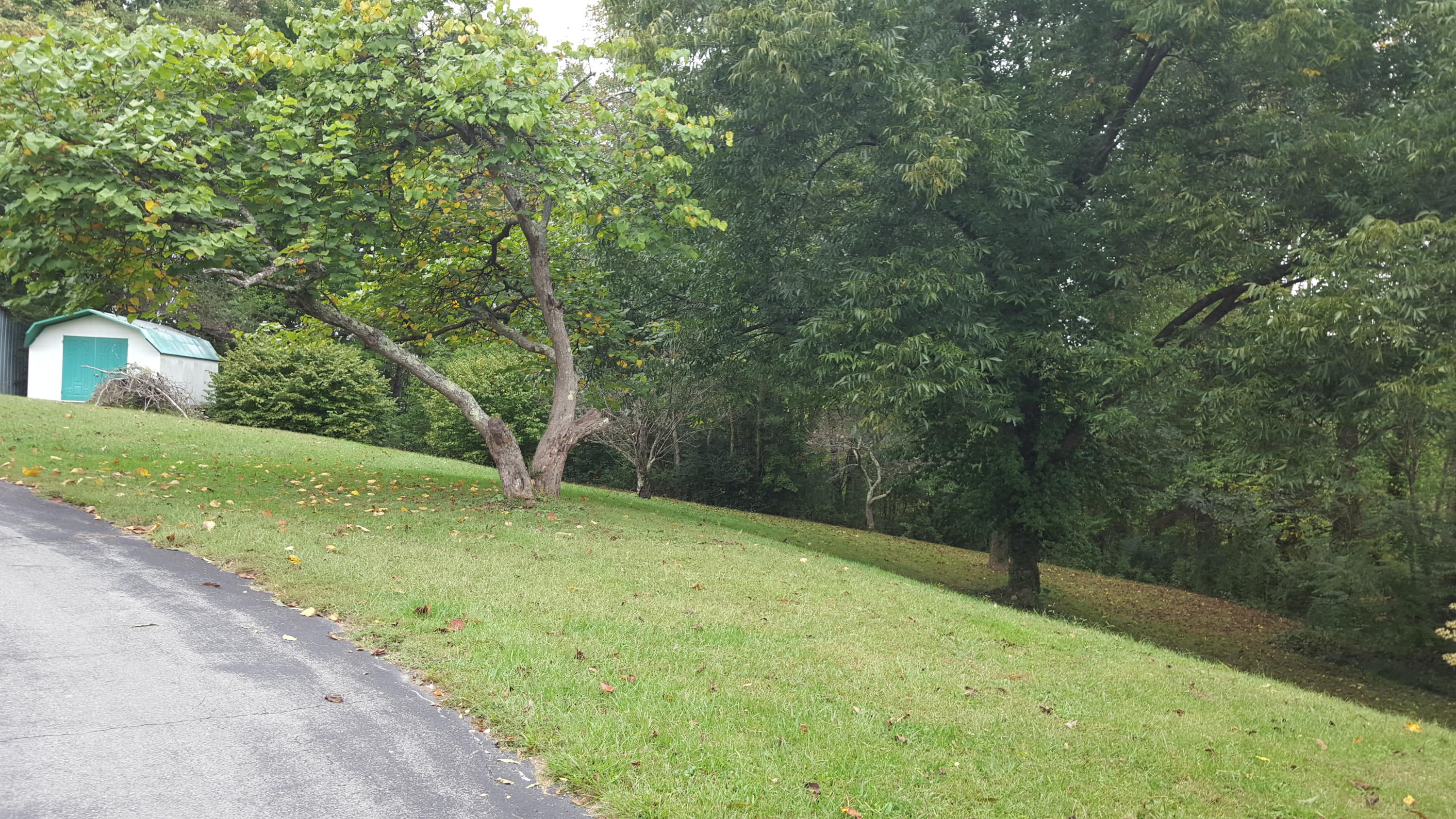 379 Wells Road Powell, TN 37849 - Photo 5 of 5 20151001_164026