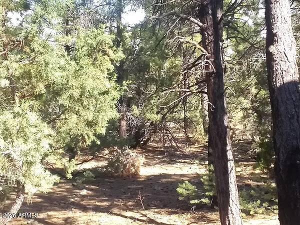 3 County Road 3139 Road Vernon, AZ 85940 - Photo 18 of 21 18