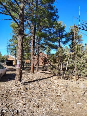 3 County Road 3139 Road Vernon, AZ 85940 - Photo 5 of 21 5
