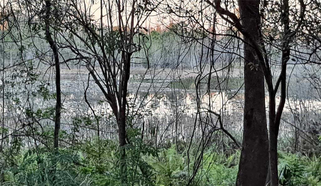 Beach Drive Umatilla, FL 32784 - Photo 1 of 1 View of lake from property to Silver Lake.