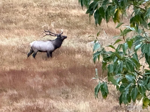 $3,995,000 | 3495 St Francis Way, Estes Park, CO 80517
