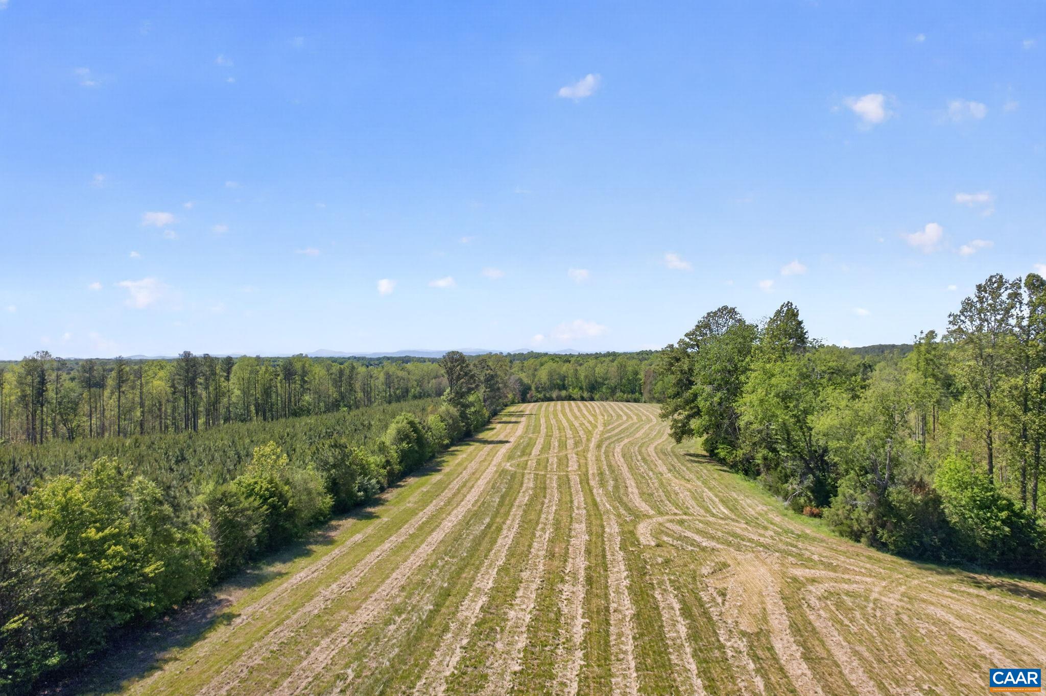 Lot 5 Shores Road Palmyra, VA 22963 - Photo 4 of 11