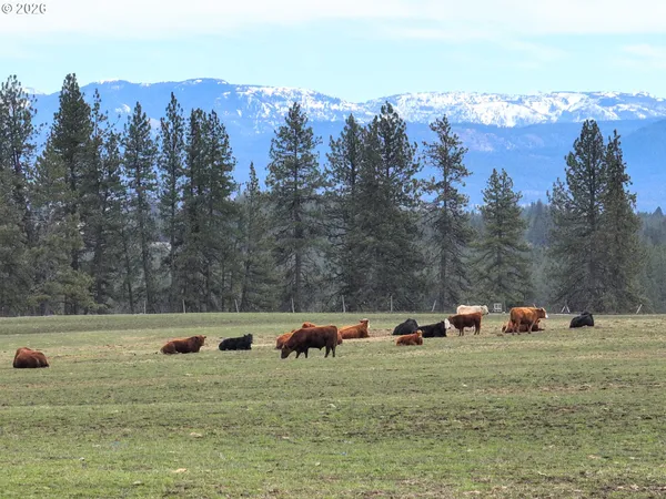 $399,000 | 0 Yarrington Road, Elgin, OR 97827
