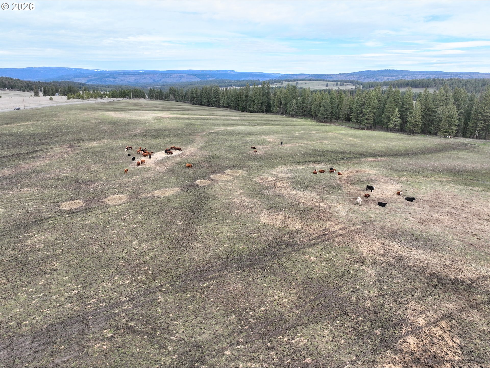 0 Yarrington Road Elgin, OR 97827 - Photo 11 of 19