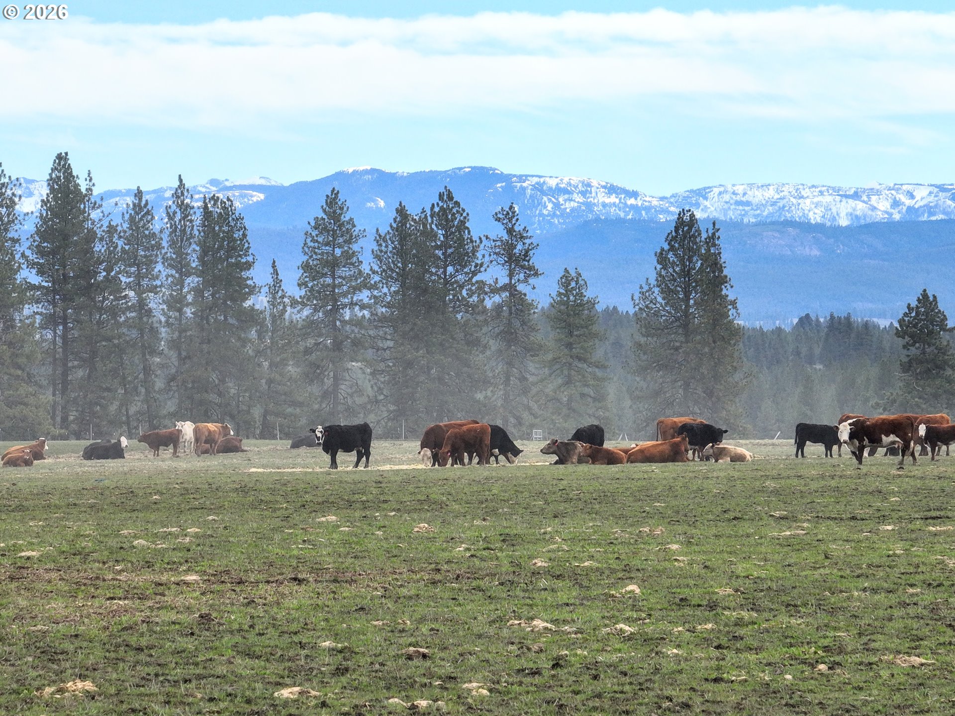 0 Yarrington Road Elgin, OR 97827 - Photo 17 of 19