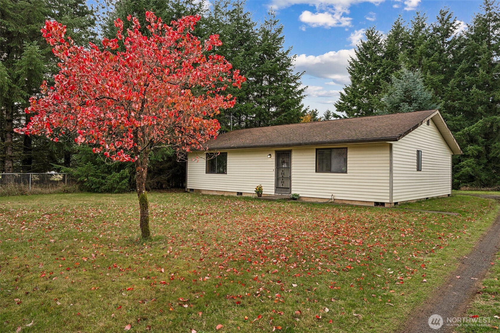954 South Military Road Winlock, WA 98596 - Photo 4 of 39 a backyard of a house with lots of green space