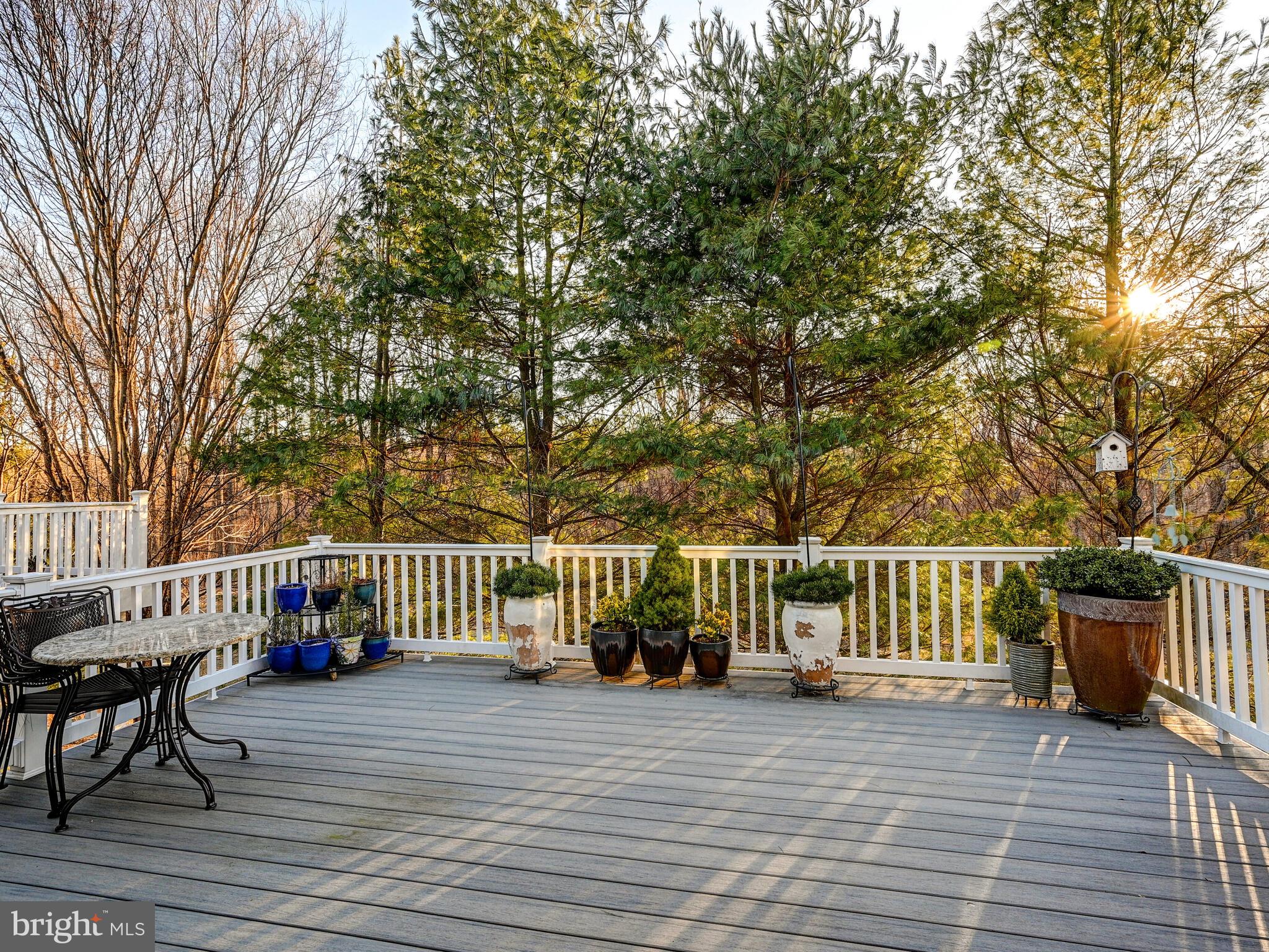 8431 Meadowsweet Road, Unit 8431 Baltimore, MD 21208 - Photo 38 of 48