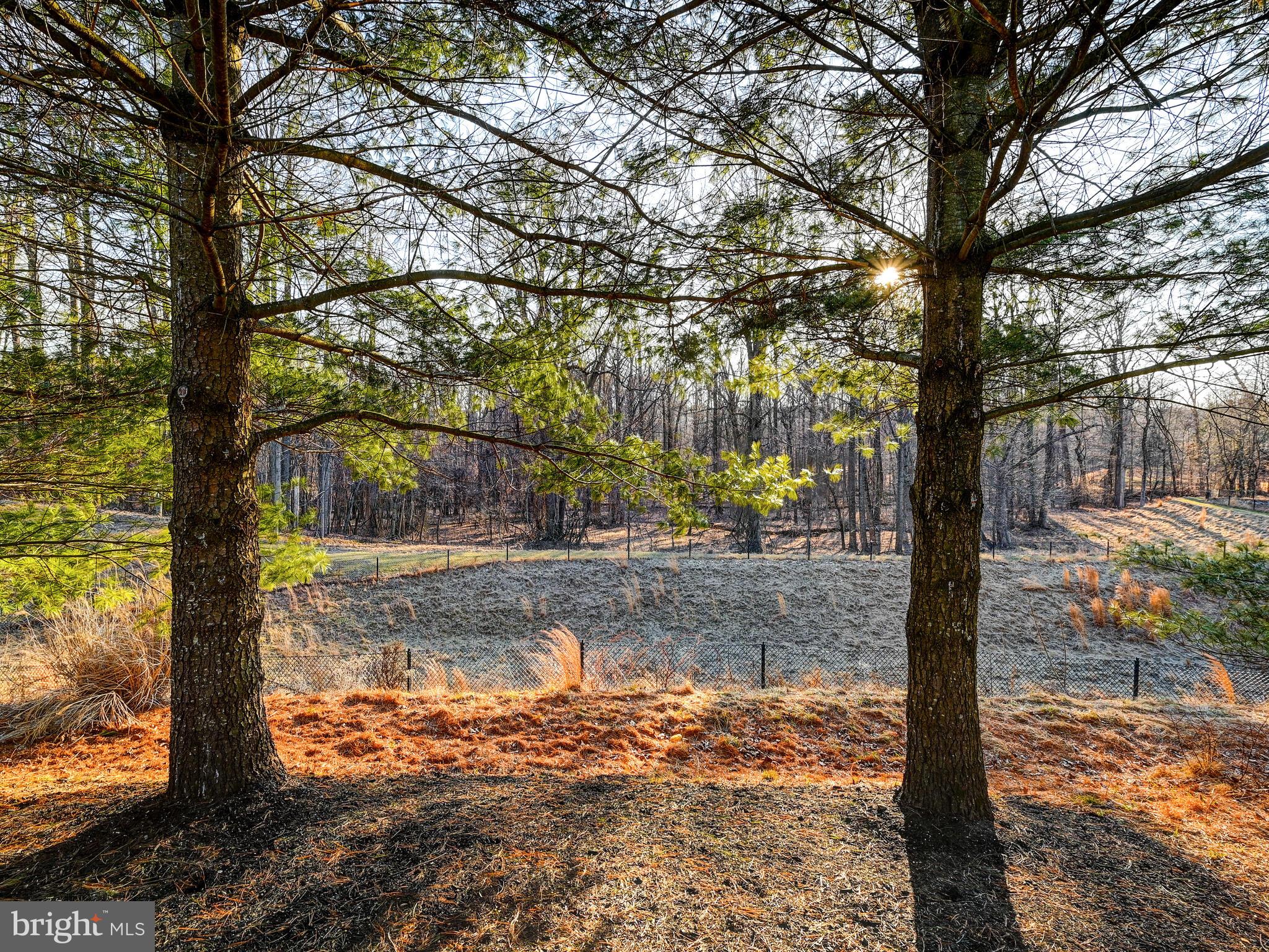 8431 Meadowsweet Road, Unit 8431 Baltimore, MD 21208 - Photo 41 of 48