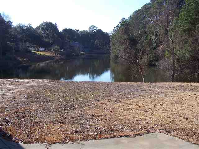 499 Rum Gully Road Murrells Inlet, SC 29576 - Photo 10 of 10