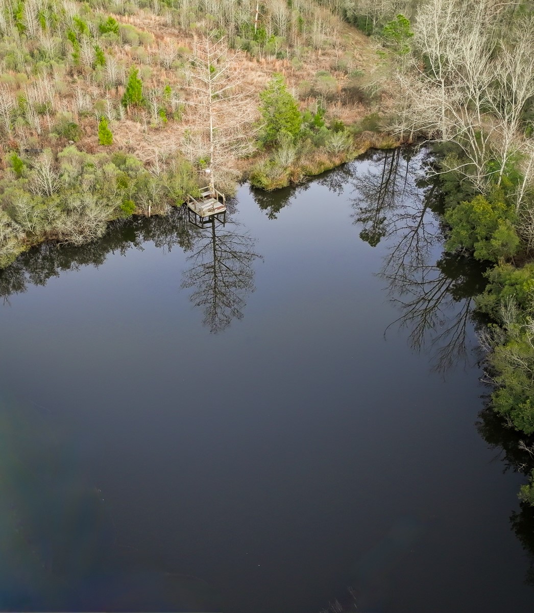 301 Paul Poe Road Livingston, TX 77351 - Photo 11 of 49