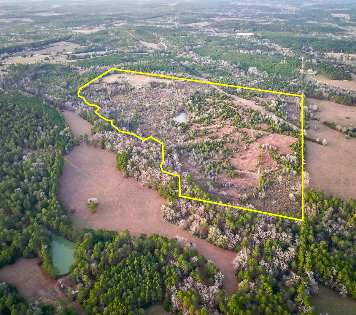 301 Paul Poe Road Livingston, TX 77351 - Photo 12 of 49