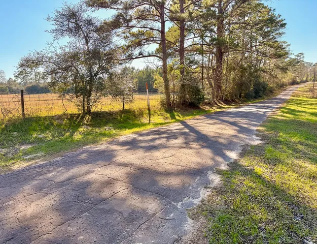 a view of yard with tree
