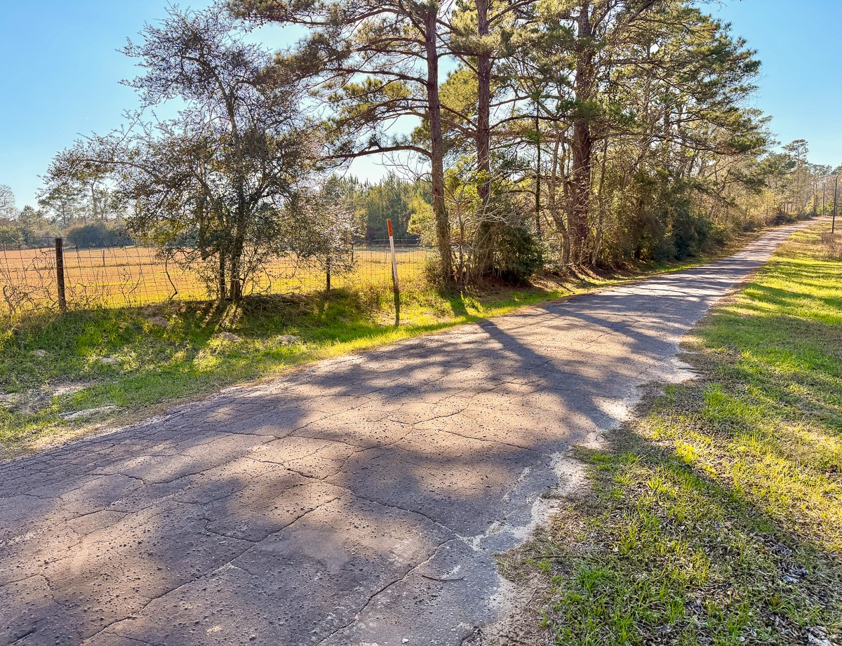 301 Paul Poe Road Livingston, TX 77351 - Photo 13 of 49