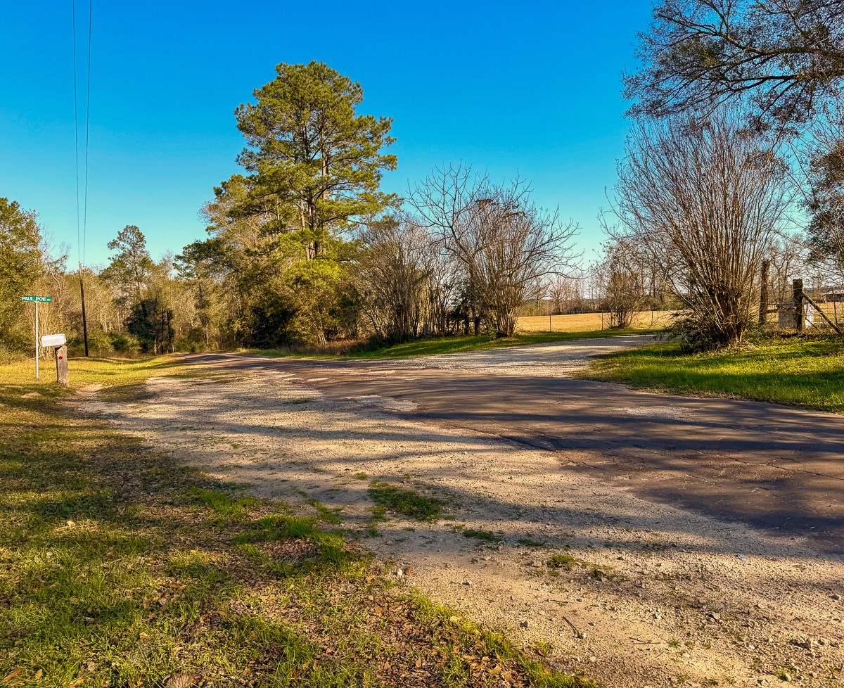 301 Paul Poe Road Livingston, TX 77351 - Photo 14 of 49