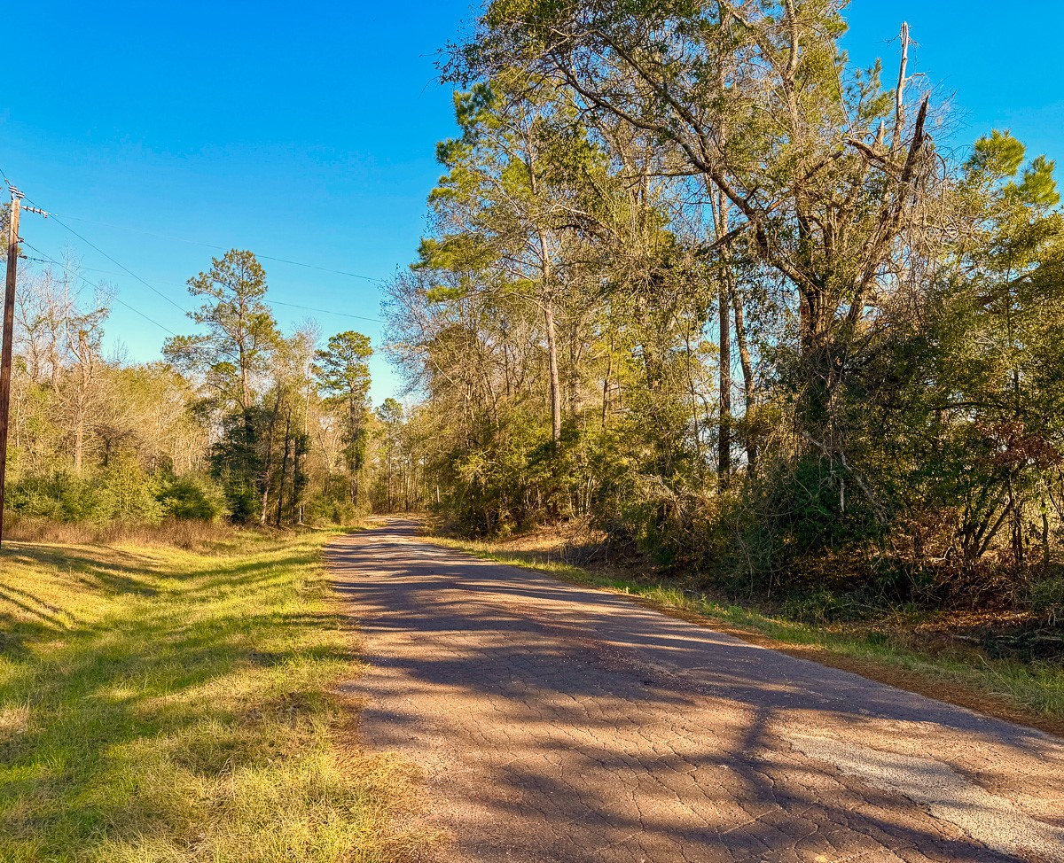 301 Paul Poe Road Livingston, TX 77351 - Photo 16 of 49