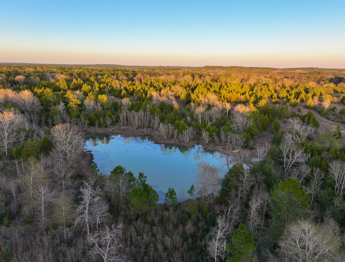 301 Paul Poe Road Livingston, TX 77351 - Photo 3 of 49