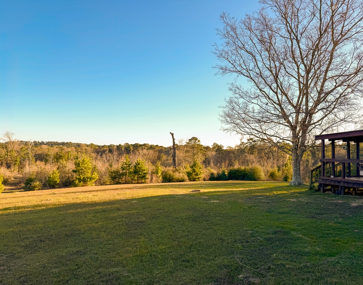 301 Paul Poe Road Livingston, TX 77351 - Photo 37 of 49