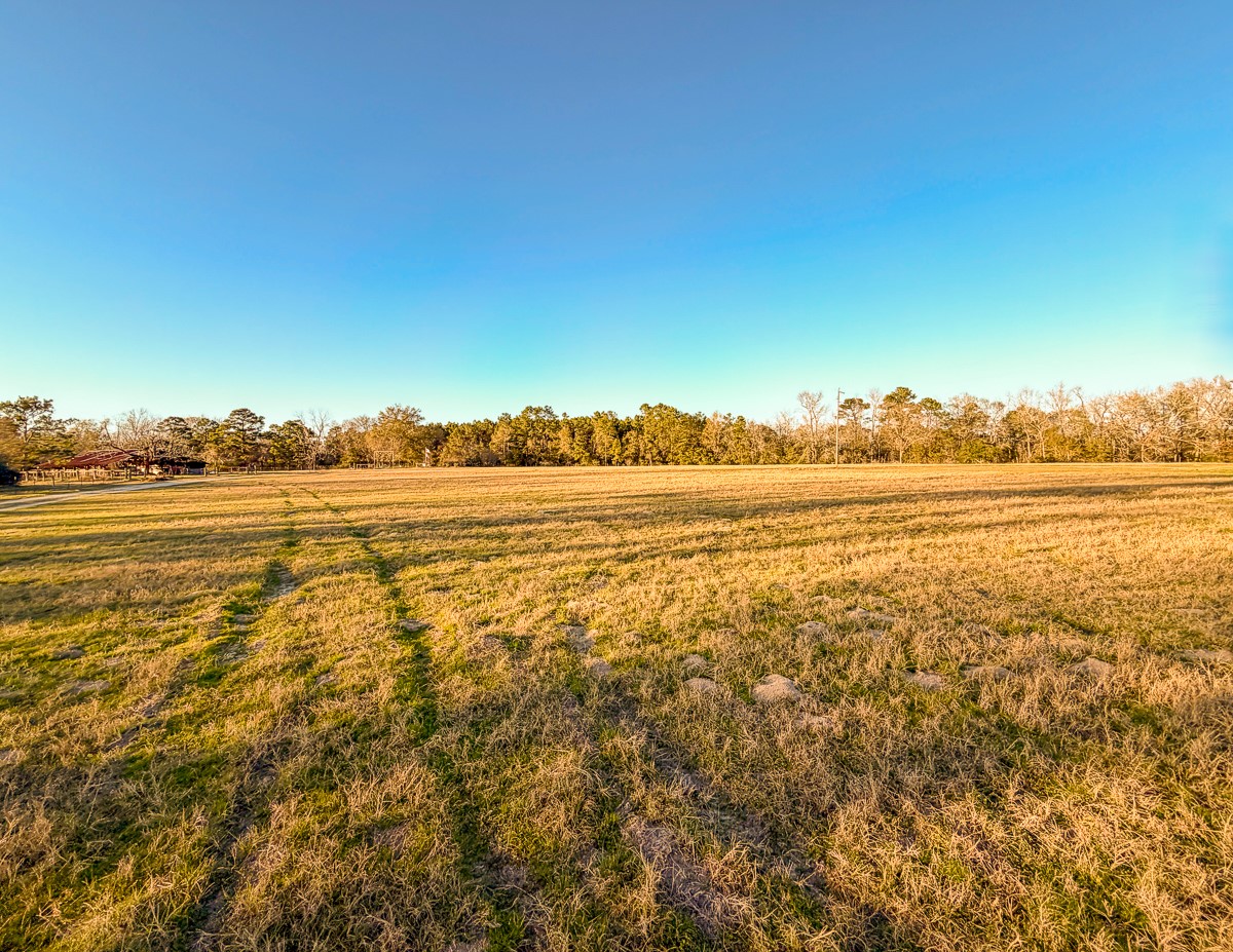 301 Paul Poe Road Livingston, TX 77351 - Photo 39 of 49