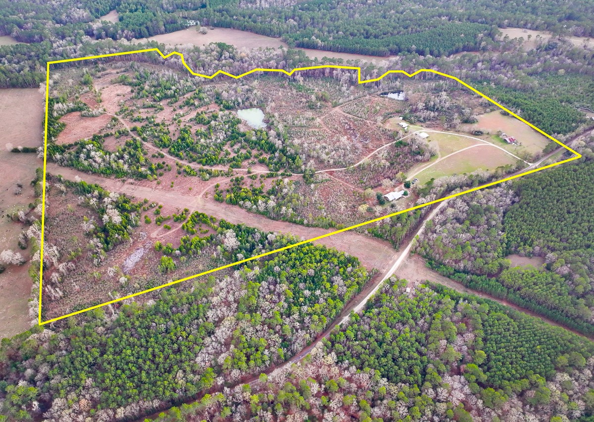 301 Paul Poe Road Livingston, TX 77351 - Photo 4 of 49