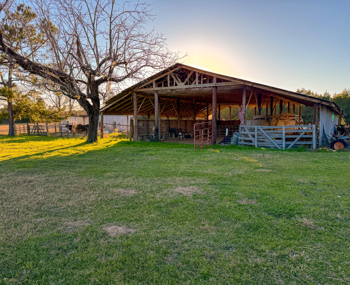 301 Paul Poe Road Livingston, TX 77351 - Photo 44 of 49