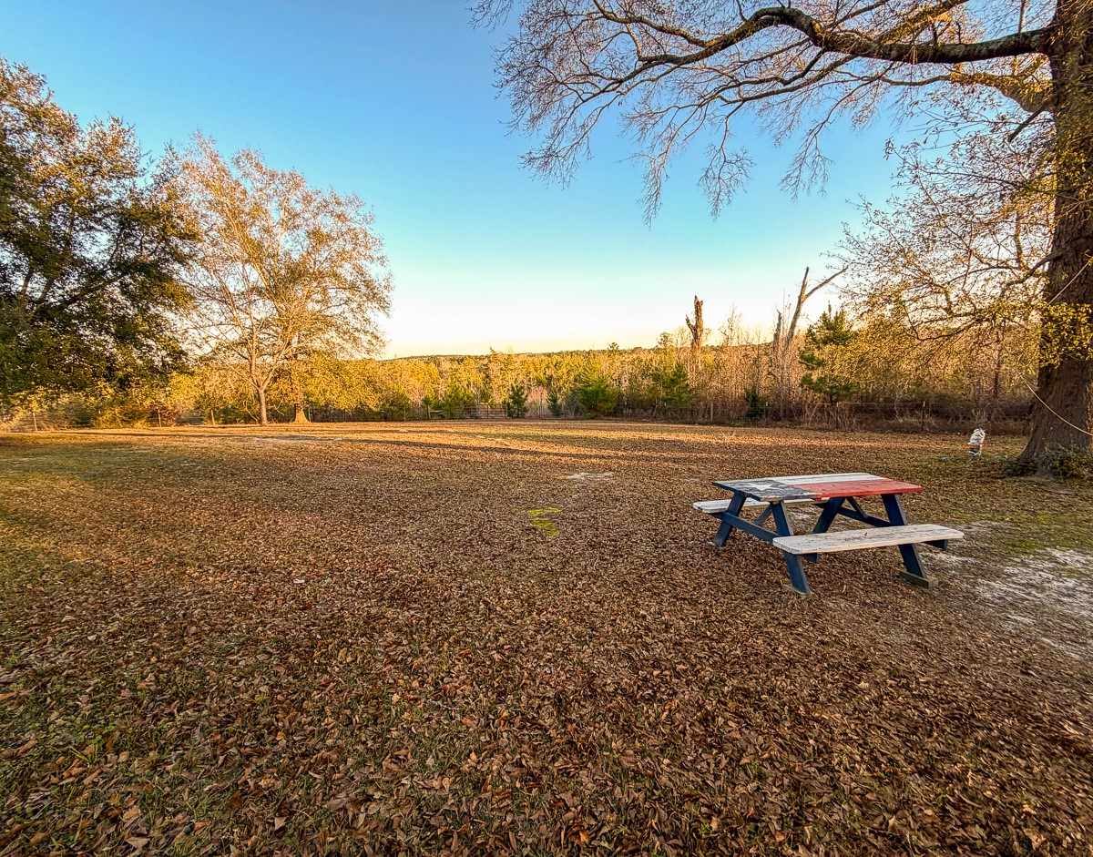 301 Paul Poe Road Livingston, TX 77351 - Photo 46 of 49