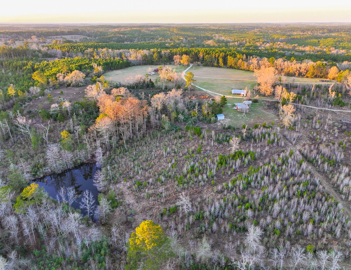 301 Paul Poe Road Livingston, TX 77351 - Photo 6 of 49