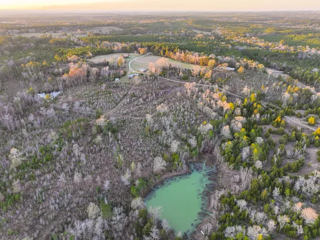 an aerial view of residential houses with outdoor space and trees